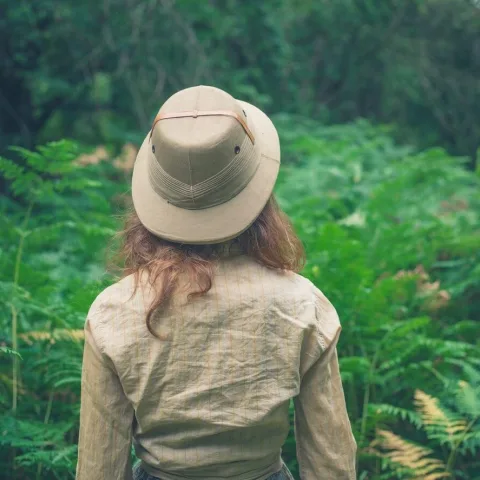 I'm A Hen Get Me Outta Here