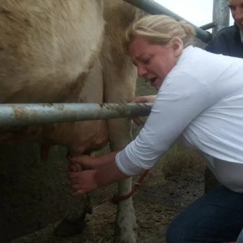 Wife Preparation Course