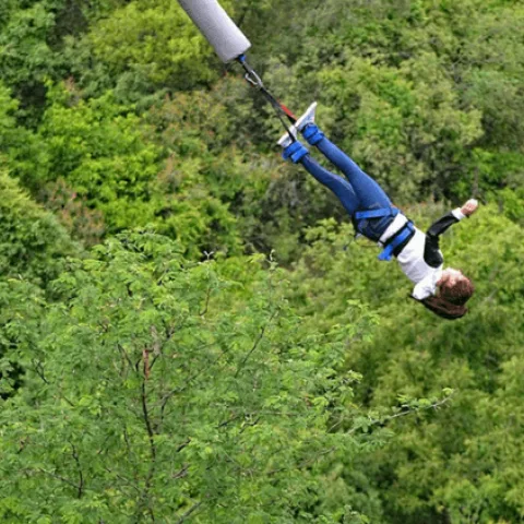 Bungee Jumping