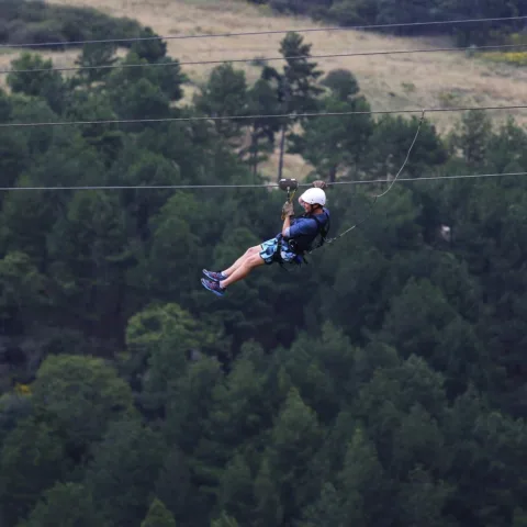 Zip Wire