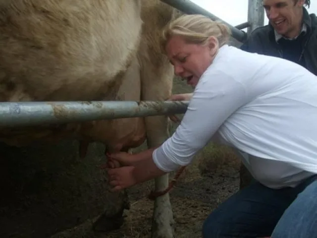 E22c1831 2805 4519 a971 837d35fc4a9c