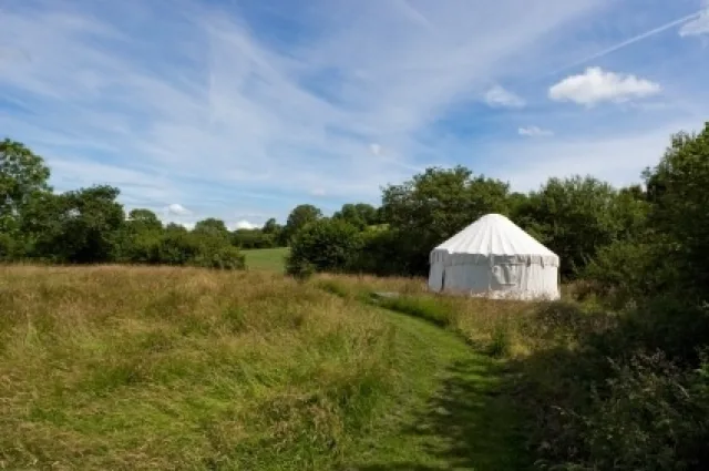 3ea7c2ce 7723 4519 ba9c de3280e309d1