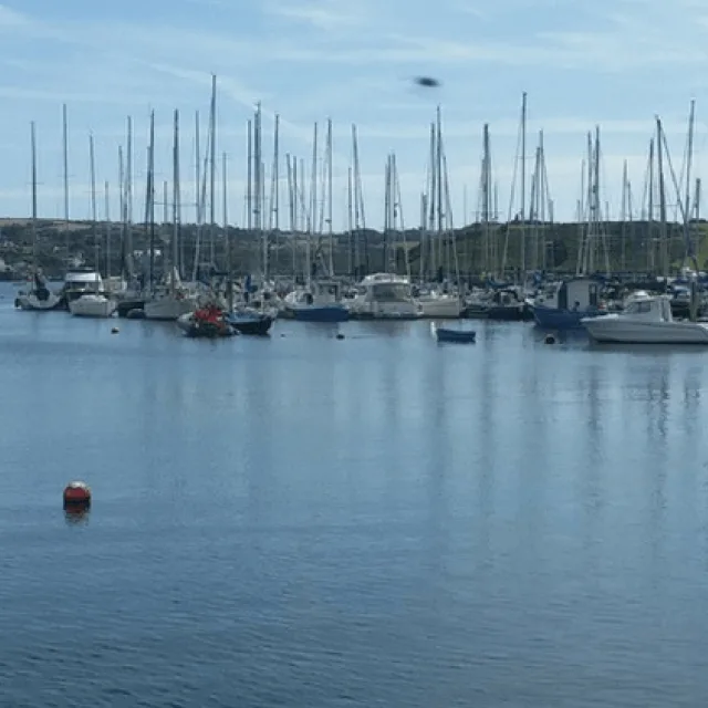 Alcohol Free Hen Locations