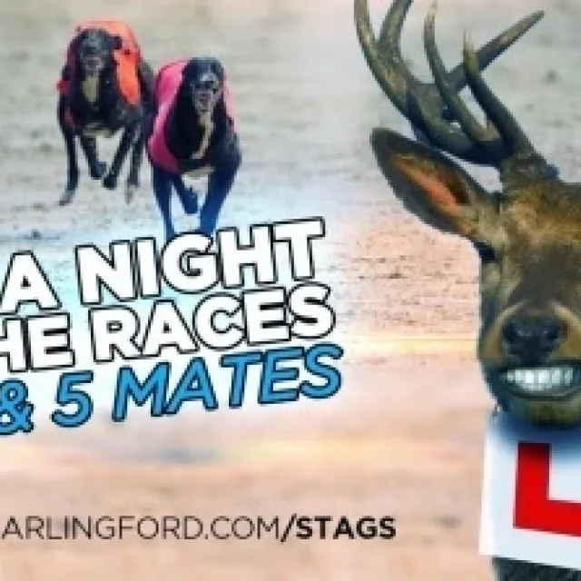 Fantastic New Stag Comp!!