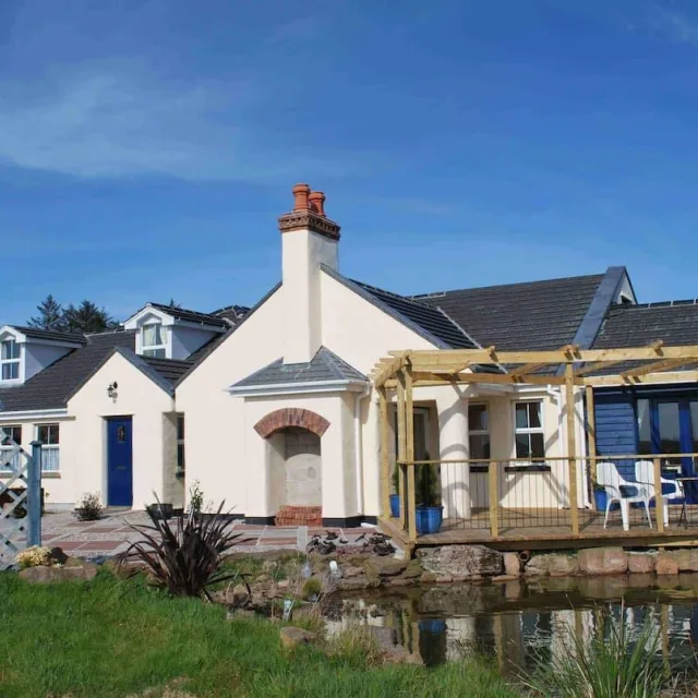 Looking for Something Unique?