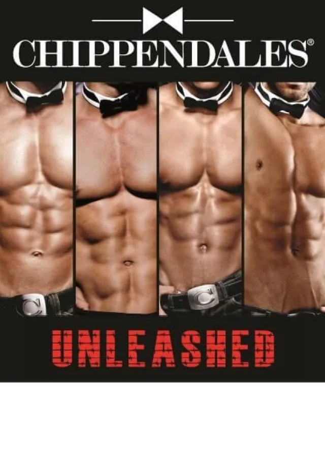 Artwork 2013 425 x 600