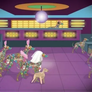 Irish Greyhound Board Mullingar