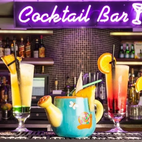 Temple Bar Hotel- Including Buskers Bar & Buskers on the Ball