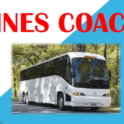 Dunnes Coaches