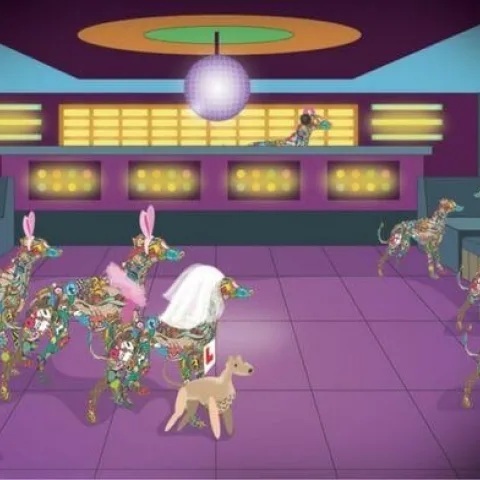 Irish Greyhound Board Tralee