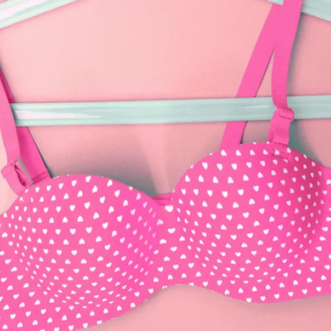 Toilet Paper Lingerie