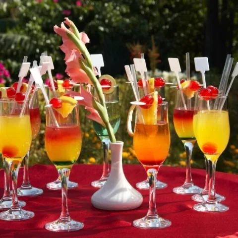 Mimosa Bar