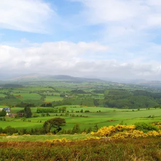 Westport Hen Party Package