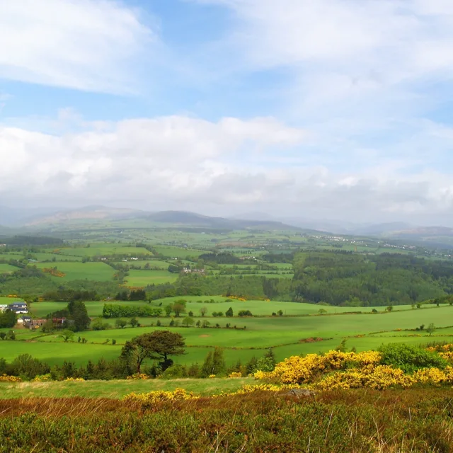 Westport for a Hen Party