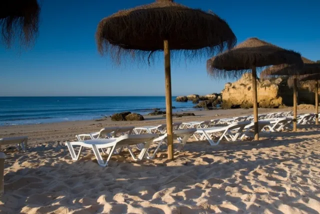 16507333 6c9c 469d ade6 0c6549ffa0b2 2020 08 11 153354