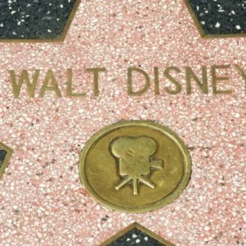 Disney Hen Party Theme