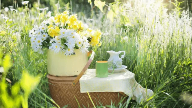 Picnic Party henparty 1 png