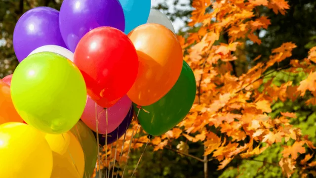 Hen party autumn 1 png